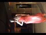 Vika Muronuk / vika_muronuk · photo 71