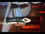 Vika Muronuk / vika_muronuk · photo 62